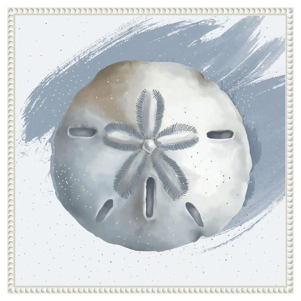 Amanti Art "Sand Dollar" by Lucca Sheppard 1-Piece Floater Frame Giclee Coastal Canvas Art Print 22 in. x 22 in.