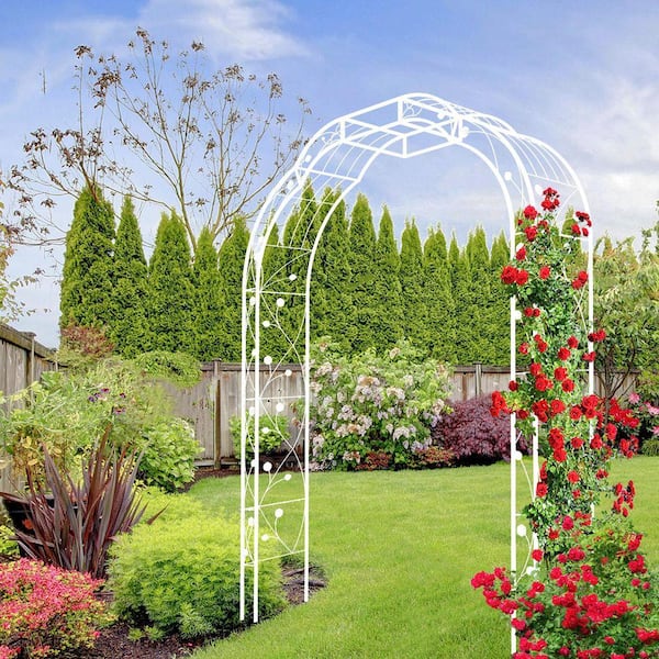 Nwgn celestia LONG10 UP40 ロングロアアーム Tenleaf Outdoor 98.4 in. x 74.4 in. Metal Garden Arch Garden Arbor