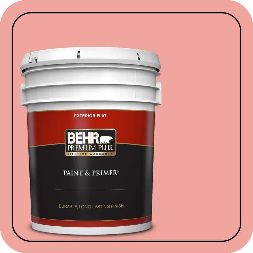 5 gal. #160B-4 Modestly Peach Flat Exterior Paint & Primer price history on PriceWatchPro