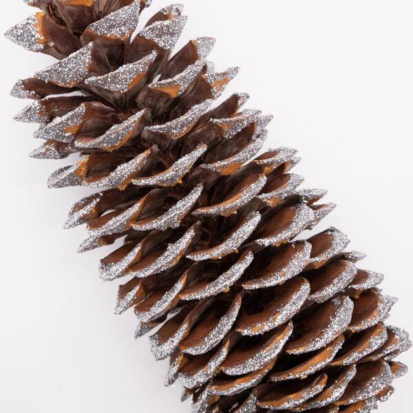 Bindle & Brass 12 in. Silver Sparkle Tip Dried Natural Sugar Pinecones (Set  of 4) BB35-102181 - The Home Depot