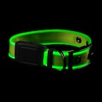 NiteDog - S - Lime/Green Rechargeable LED Collar