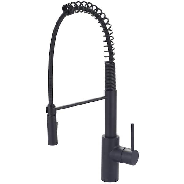 Pioneer Faucets Motegi Single-Handle Pull-Down Sprayer Kitchen Faucet with Pre-Rinse Sprayer in Matte Black