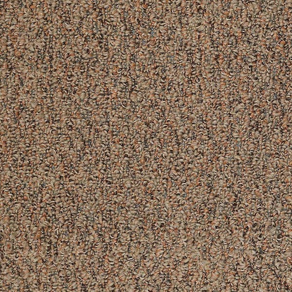 TrafficMaster 8 in. x 8 in. Berber Carpet Sample - Isla Vista - Color Copper Earth