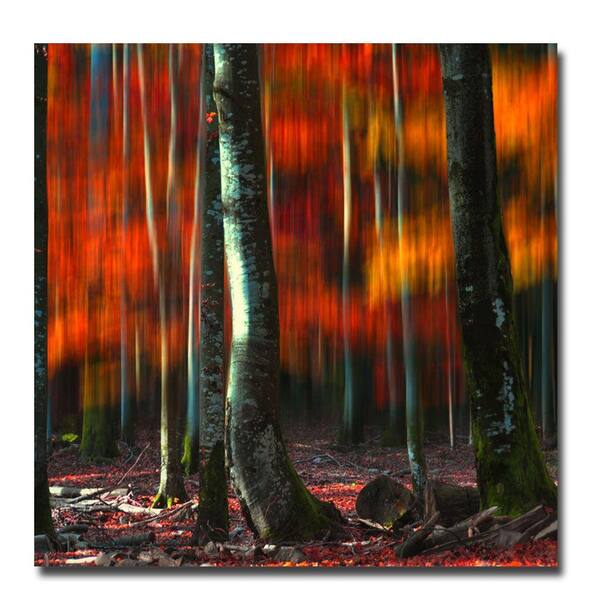 Trademark Fine Art 35 in. x 35 in. Fall Vision Canvas Art-DISCONTINUED
