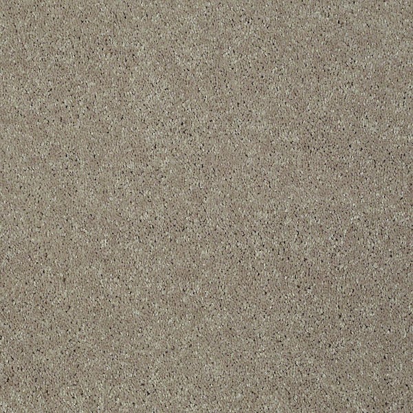 Brave Soul II - Dream Dust - Brown 15 ft. 44 oz. Polyester Texture Carpet - Installation Required