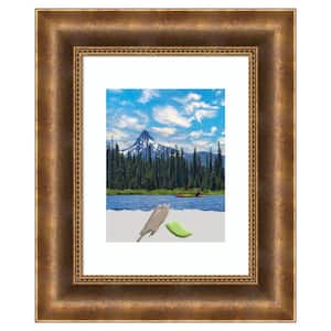 Manhattan Bronze Wood Picture Frame Opening Size 11 x 14 in. (Matted To 8 x 10 in.)