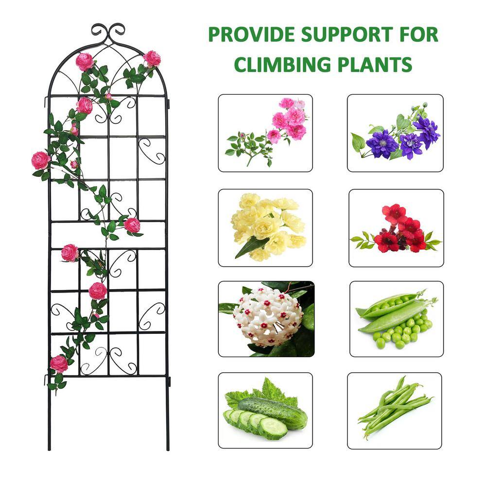71" Black Metal Garden Trellis Screen for Climbing Plants, 4 Pack
