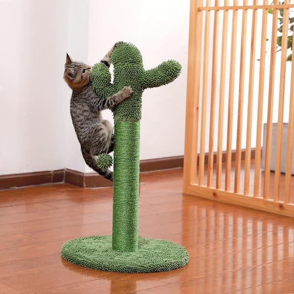 Wish cat tree clearance review