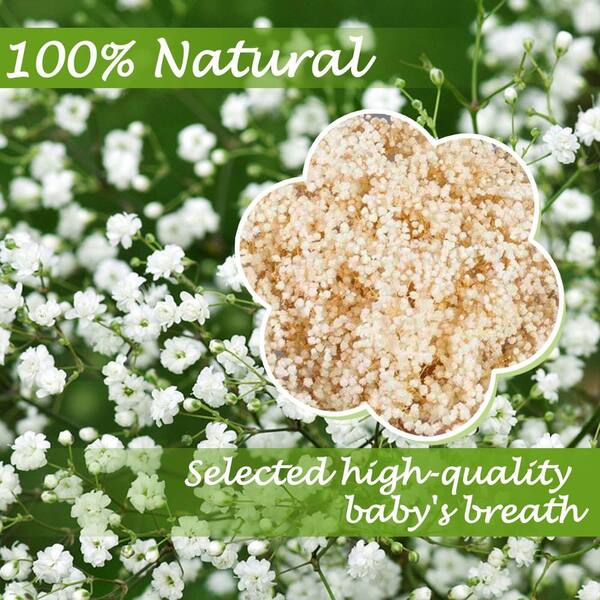 5 in. Ivory White Artificial Babys Breath Branch Stem 17 in. Color