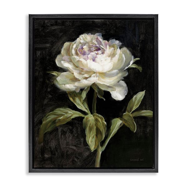 Stupell Industries Peony on Black by Danhui Nai Black Floater Frame Nature Graphic Art Print 31 in. x 25 in.