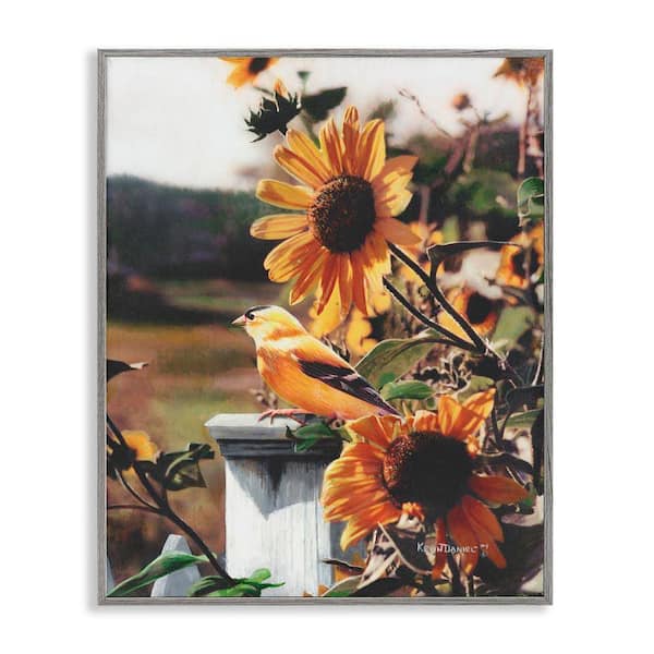 Stupell Industries Canary Bird & Sunflowers by Kevin Daniel Gray Framed Nature Giclee Art Print 14 in. x 11 in.