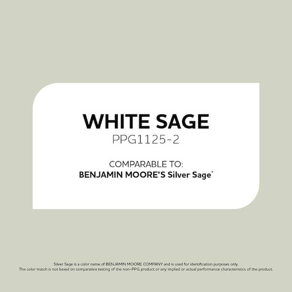 White Sage PPG1125-2 Paint - Comparable to BENJAMIN MOORE'S Silver Sage