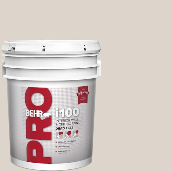 5 gal. #ECC-18-2 Pebbled Shore Dead Flat Interior Paint