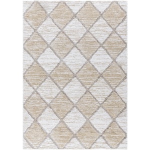 Delight Shag 8 ft. x 10 ft. Brown Geometric Indoor Area Rug