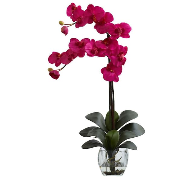 Nearly Natural Double Phalaenopsis Orchid with Vase Arrangement in Beauty