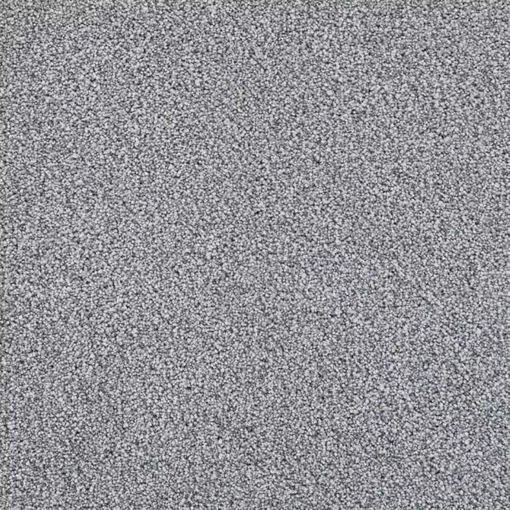 8 in. x 8 in. Texture Carpet Sample-Velvetine III-Color Aurora price history on PriceWatchPro