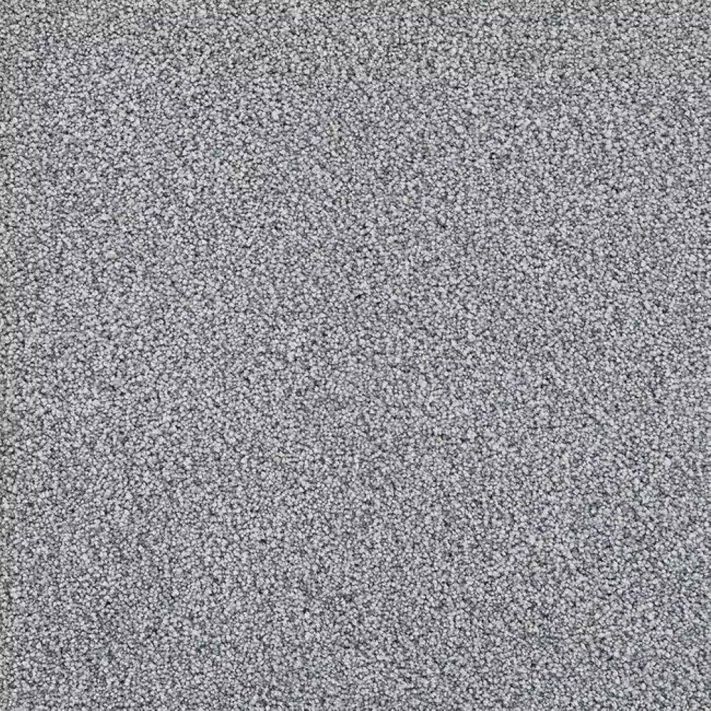 8 in. x 8 in. Texture Carpet Sample-Velvetine II-Color Aurora price history on PriceWatchPro