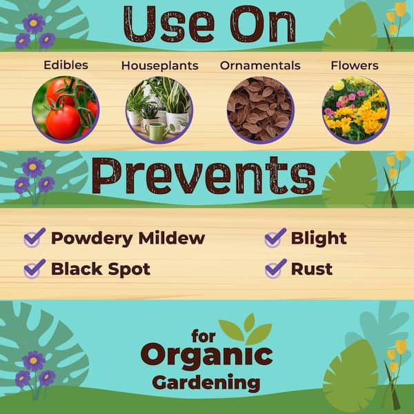 Captain Jack's Copper Fungicide, 16 oz. Concentrate for Organic Gardening, Controls Common Diseases