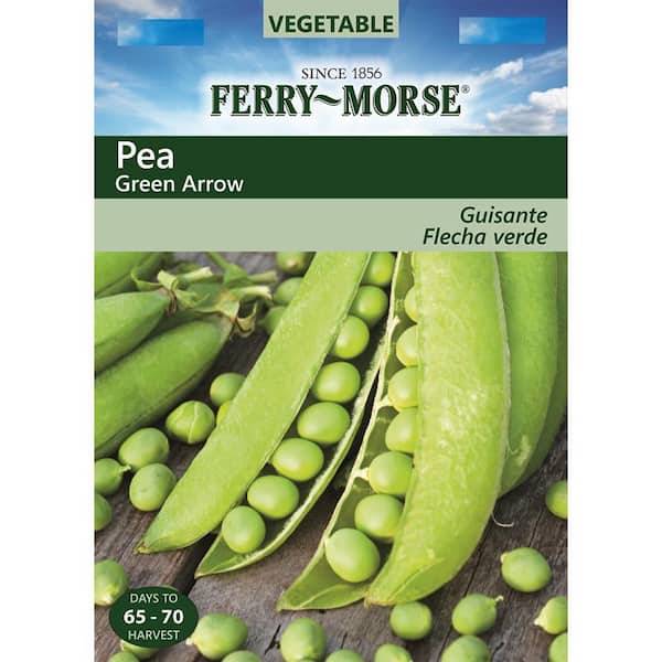 Ferry-Morse Pea Green Arrow Vegetable Seed 0072 - The Home Depot