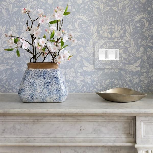 adorne 2 Gang Decorator/Rocker Wall Plate, Custom with White Trim (1-Pack)