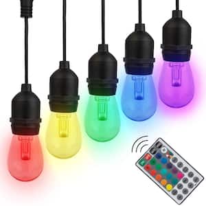 15 Edison String -Light - 50 ft. Outdoor Plug-In Color-Changing Integrated LED Edison String Lights