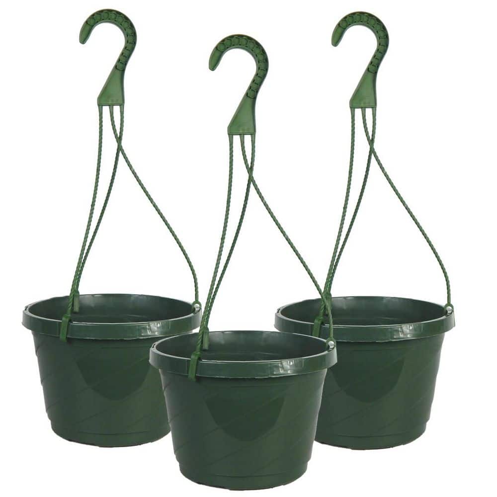 Hanging Baskets Home Depot
