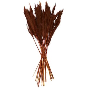 Pampas Natural Foliage with Long Stems (One Bundle)