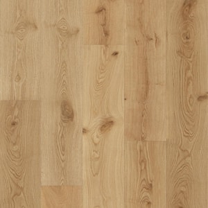 Take Home Sample-Bold Cambridge 7.5 in. W x 4 in. L Engineered Hardwood Flooring