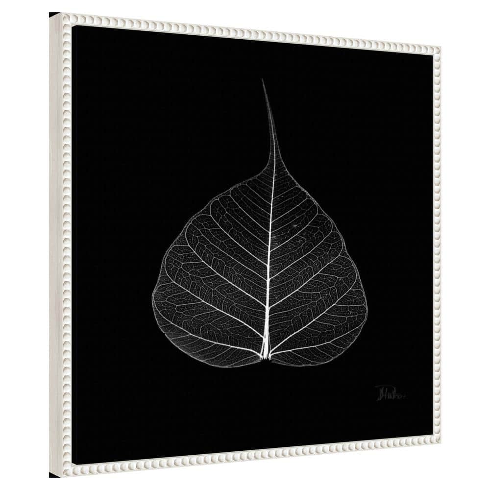 Amanti Art Minimalist Leaf on Black I by Patricia Pinto Canvas Wall Art Print Framed 22 x 22-in.