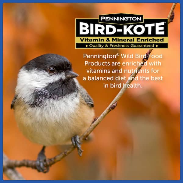 Pennington - 22.5 lb. Wild Bird Seed Food Blend Bucket