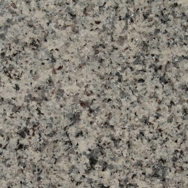 STONEMARK 3 in. x 3 in. Granite Countertop Sample in Sterling DT