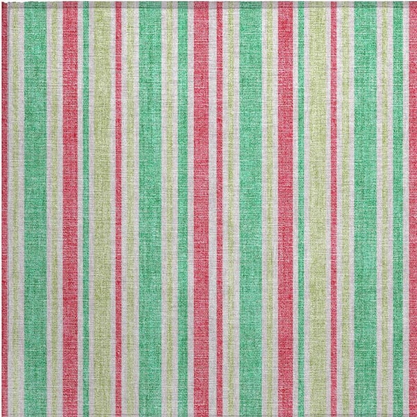 Green 2 ft. x 3 ft. Woven Striped Polyester Rectangle Indoor/Outdoor Area Rug