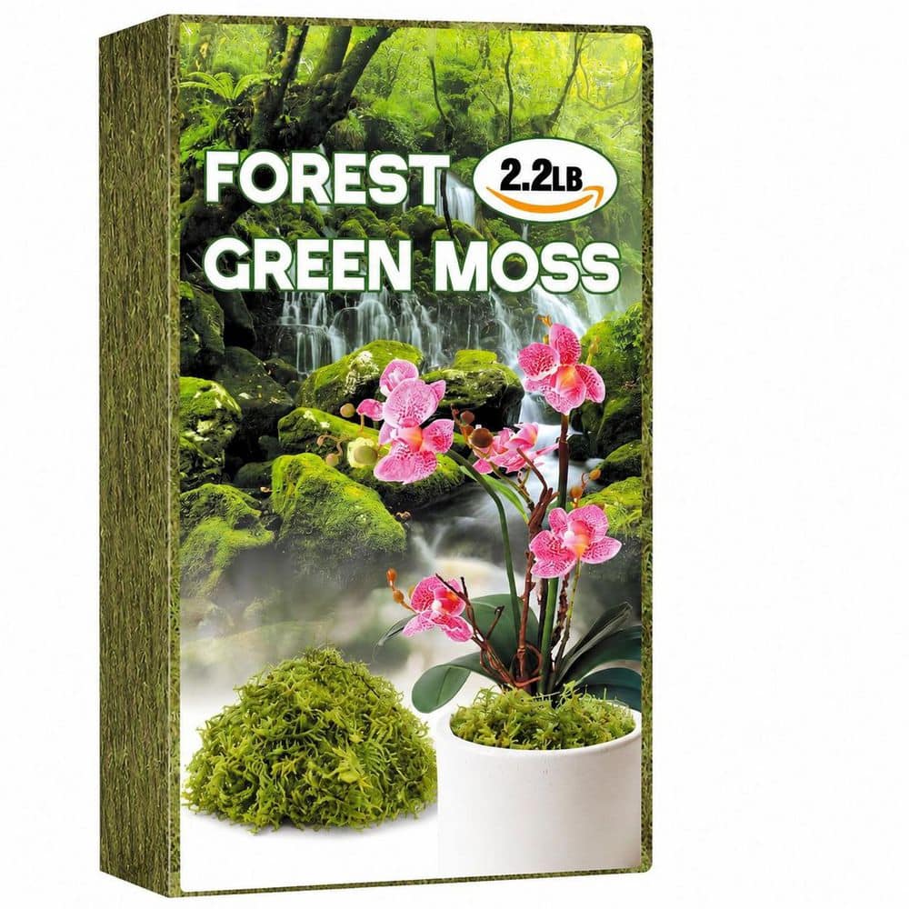 Natural Green Moss Long Fiber Dried Sphagnum Forest Moss