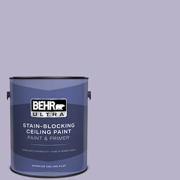 1 gal. #S570-3 Bohemianism Ceiling Flat Interior Paint and Primer