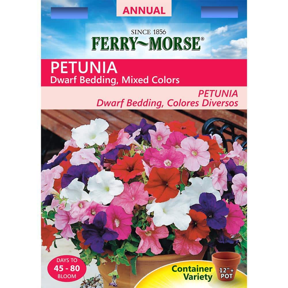 Vasilisa The Wise F1 Petunia flowers Seeds from Russia.
