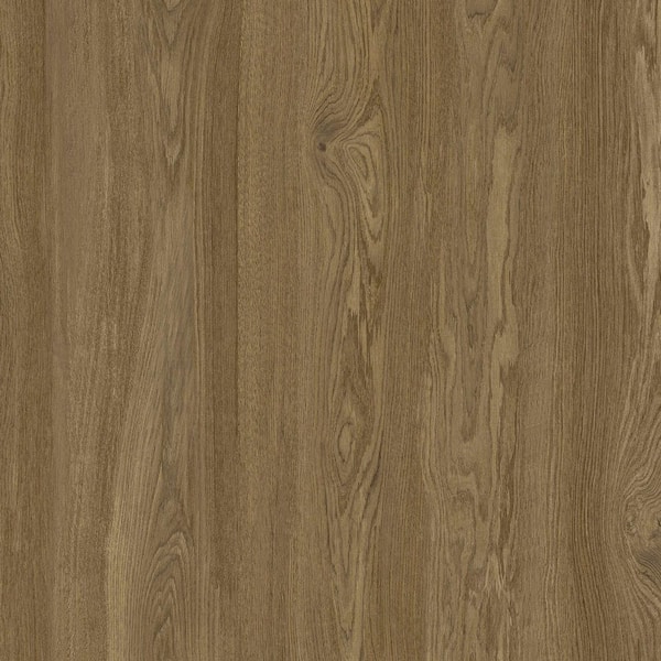 Lifeproof Take Home Sample - Amber Lane Oak Click Lock Waterproof