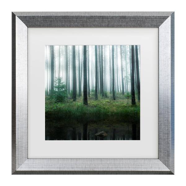 Chritian Lindsten Lake In Forest Matted Framed Photography Wall Art 19.5 in. x 19.5 in.
