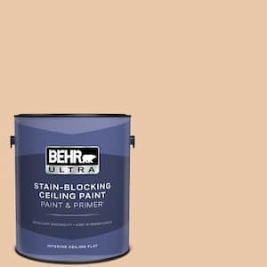 1 gal. #S250-2 Almond Biscuit Ceiling Flat Interior Paint and Primer