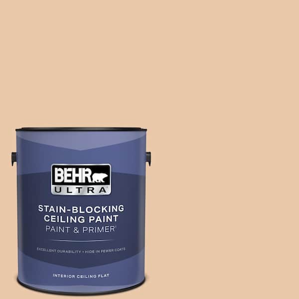 1 gal. #S250-2 Almond Biscuit Ceiling Flat Interior Paint and Primer