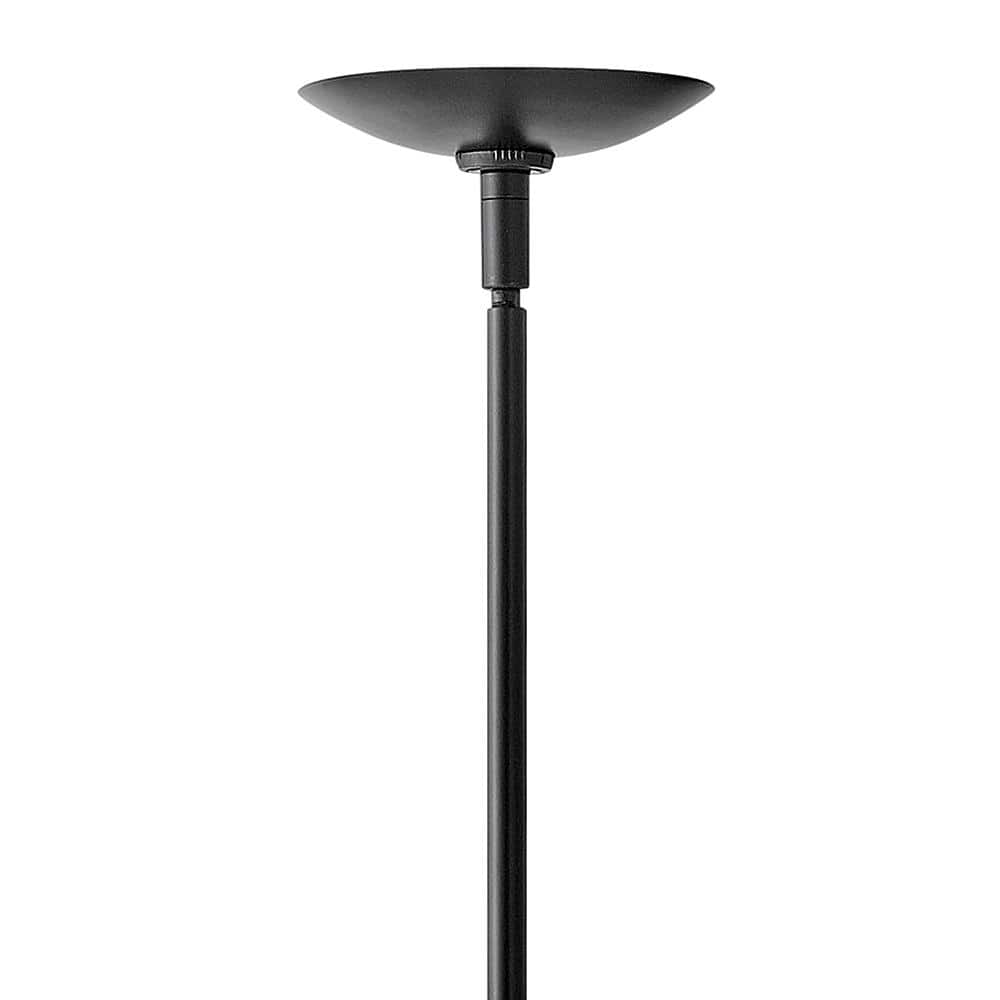Black Globe Pendant Light with Etched Opal Glass Shade