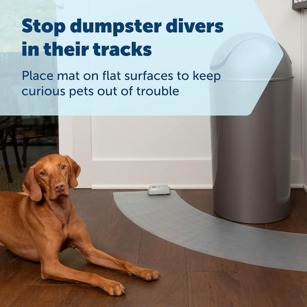 PetSafe ScatMat Indoor Electric Training Mat for Cats Dogs, Curved, 50" x  12" ZPD00-17030