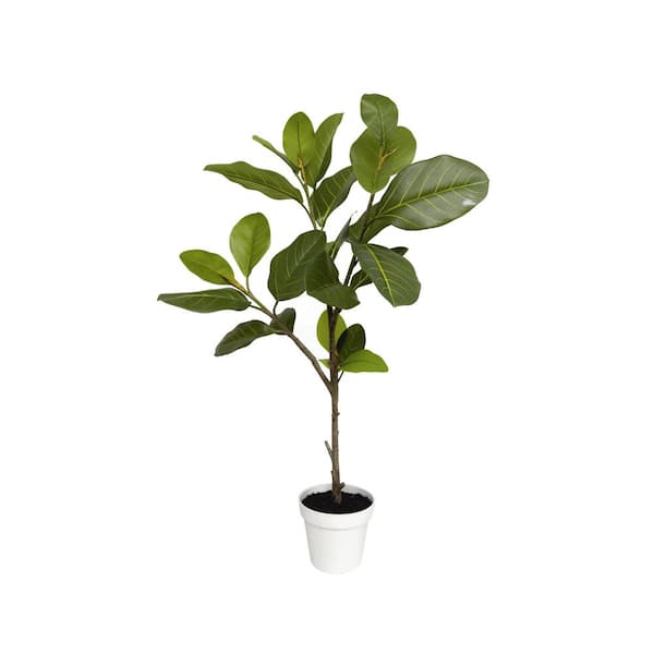 Algreen PRODUCTS 38 in. Artificial Alpine Ficus (6.2 in. x 5 in. H pot; 36 in. x 38 in. H)