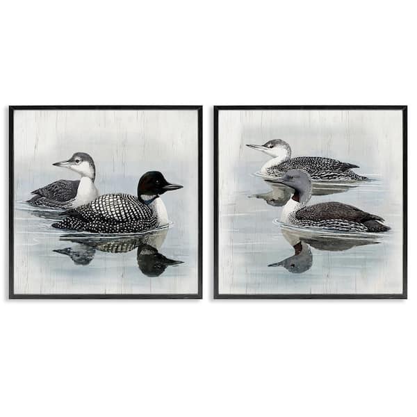 Four Loons in Lake by Susan Jill 2-Pieces Black Framed Animal Giclee Art Print 12 in. x 12 in.