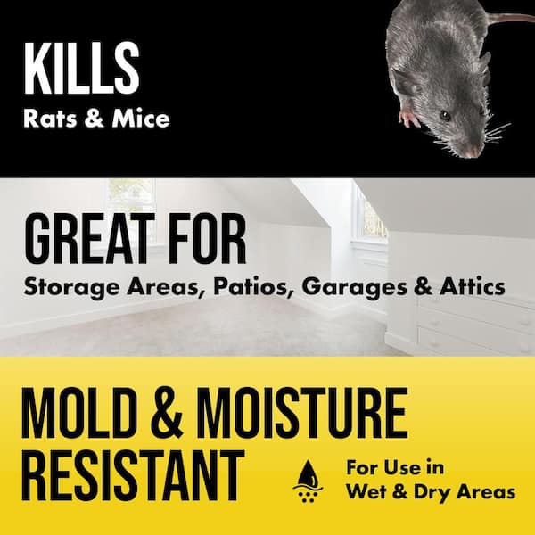 4 lbs./64 Bars All Weather Rat and Mouse Killer and Locking Rat and Mouse Refillable Bait Station