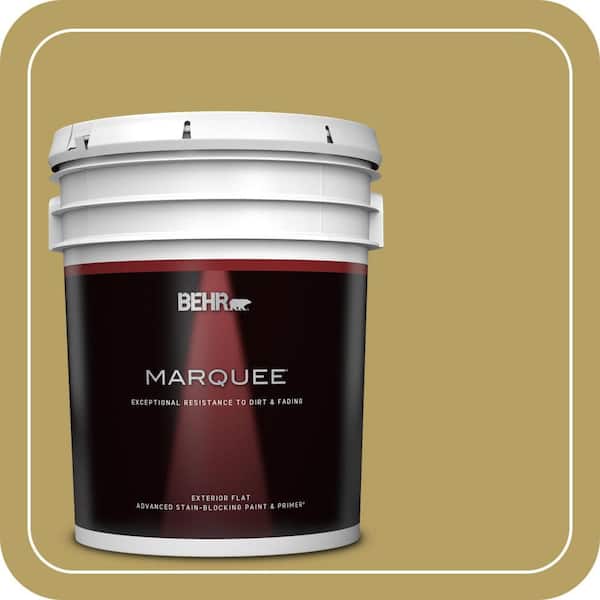 BEHR MARQUEE 5 gal. #PPU6-19 Chameleon Flat Exterior Paint & Primer