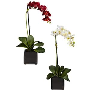 20 in. Artificial H Assorted Phaleanopsis Orchid with Black Vase Silk Arrangement (Set of 2)