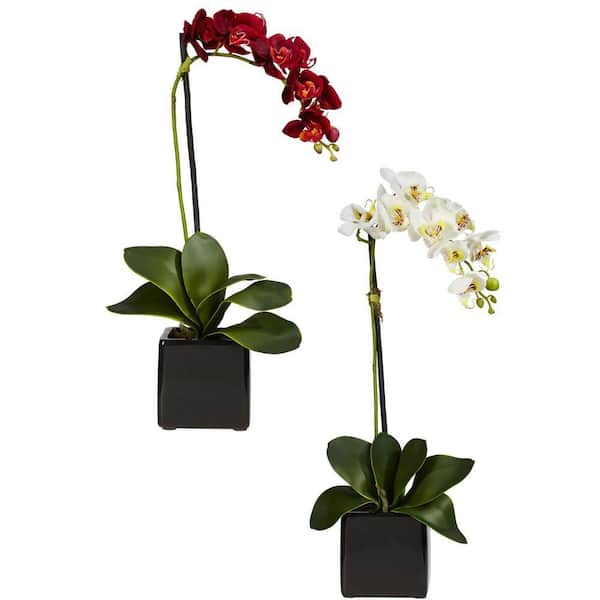 Nearly Natural 20 in. Artificial H Assorted Phaleanopsis Orchid with Black Vase Silk Arrangement (Set of 2)
