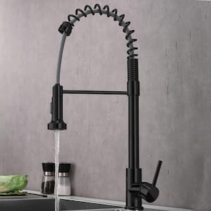 Single Handle Pull-Out Sprayer Kitchen Faucet in Black