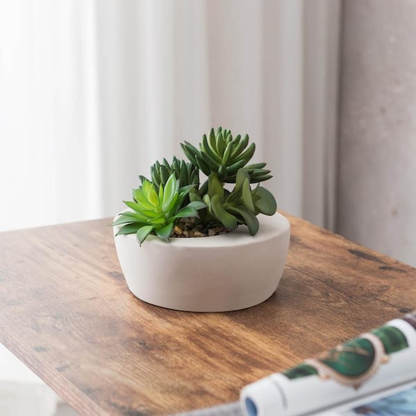 Artificial 7 in. Lush Green Succulent Arrangement