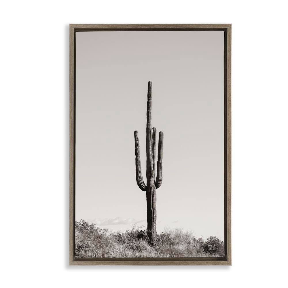 Clear Afternoon Cactus by Nathan Larson Brown Floater Frame Nature Graphic Art Print 25 in. x 17 in. price history on PriceWatchPro